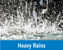Heavy Rains